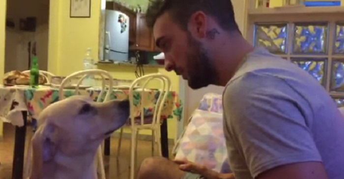 Denna video hade 25 miljoner visningar på 3 dagar. Vad denna hund gjorde är OTROLIGT!
