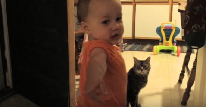 datter-katt-fremhevet
