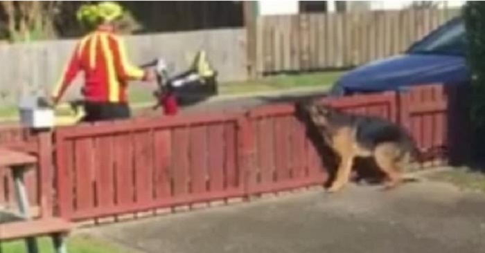 Hundägaren filmer brevbäraren hemlighet. Men det som händer vid 00:12 smälter mitt hjärta!