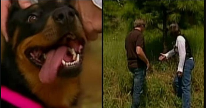 Hon hittade en hund som gick längs gatan – när hunden tog henne in i skogen, förstod hon vad som var fel!