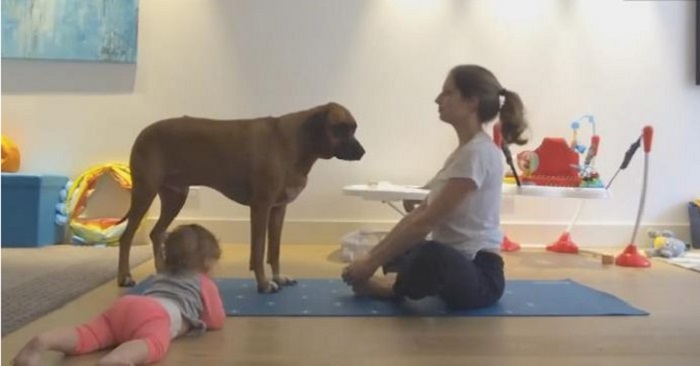 Mamman tar fram yogamattan. Men vad som händer sekunder senare? Jag skrattar så tårarna rinner!