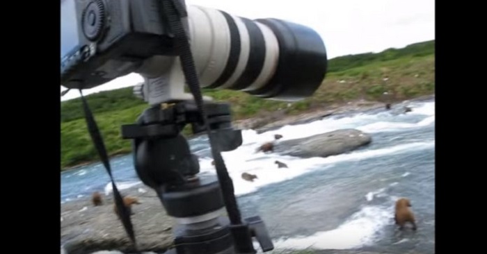 Mannen satt i sin campingstol och fotograferade. Vad som händer bredvid honom, är helt fantastiskt!