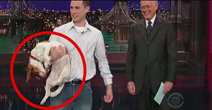 Han ber sin hund att ”spela död.” När den gör det, kan INGEN sluta skratta!