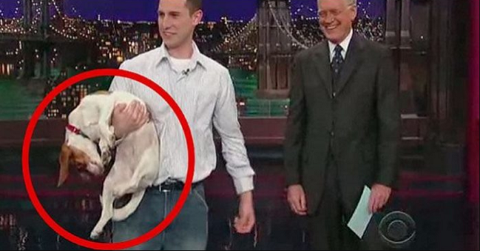 Han ber sin hund att ”spela död.” När hon gör det kan ingen sluta skratta!