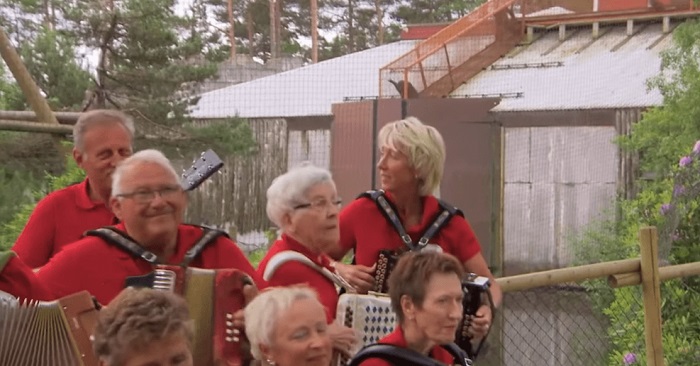 När dragspelsklubben besökte djurparken blev schimpanserna galna – Förstår du deras reaktion?