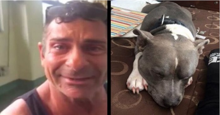 Mannens pitbull blev kidnappad. Men se när de återförenas ett år senare! Fantastiskt!