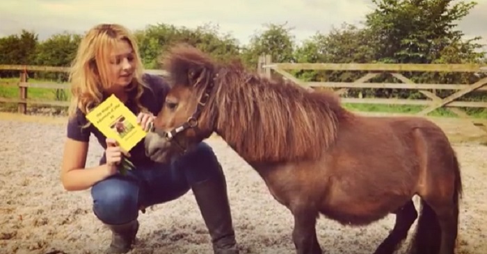 ”Little Alf” ser ut som en vanlig ponny. Men när kameran zoomar ut, ser vi det unika med honom!