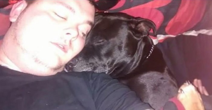 Ägaren hade beslutat sig för att ta sitt eget liv. Då han inser han vad hunden har i munnen!