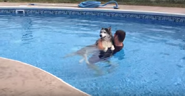 Han hjälpte den sjuka, gamla hunden ner i poolen! Hundens reaktion då är underbar!