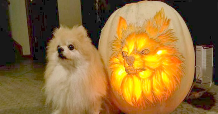 Den här mannen spenderar tre timmar på att skära i en pumpa så den liknar hans hund!