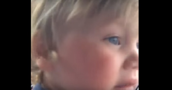 Familjen kör genom djurparken. Vad som händer när pojken ser en apa får ALLA att gapskratta!