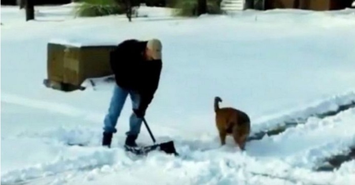 Mannen försöker skotta snö utanför huset. Vad hunden gör är då är fantastisk!