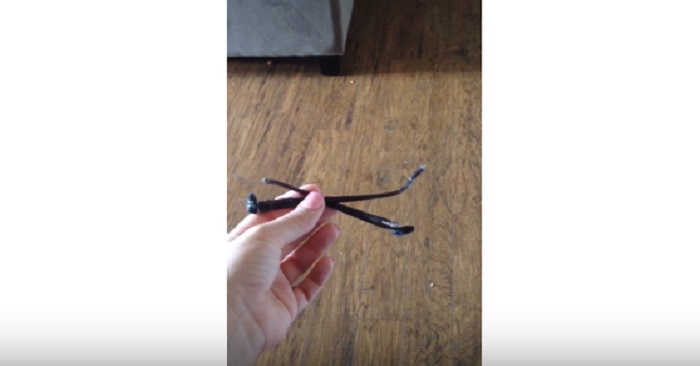 Hon hittar sina trasiga glasögon och anklagar sin hund. Reaktionen är UNDERBAR!