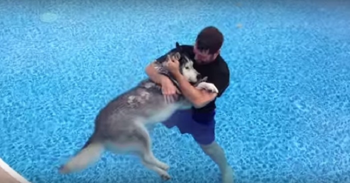 Han tog med sig sin sjuka hund ner i poolen. Reaktionen hunden har smälter nu hjärtan över hela internet!