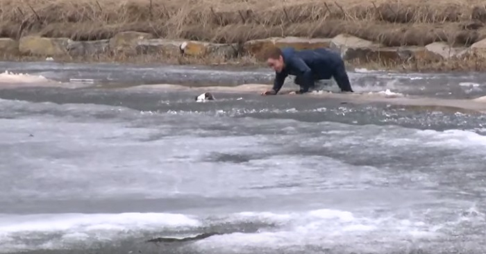 Hennes hund trillade genom isen. Då KASTAR sig ägaren i det iskalla vattnet för att rädda sin älskade hund!