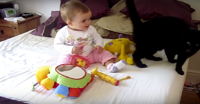 Familjens katt ska få hälsa på barnet för första gången. Deras reaktioner är OTROLIGA!