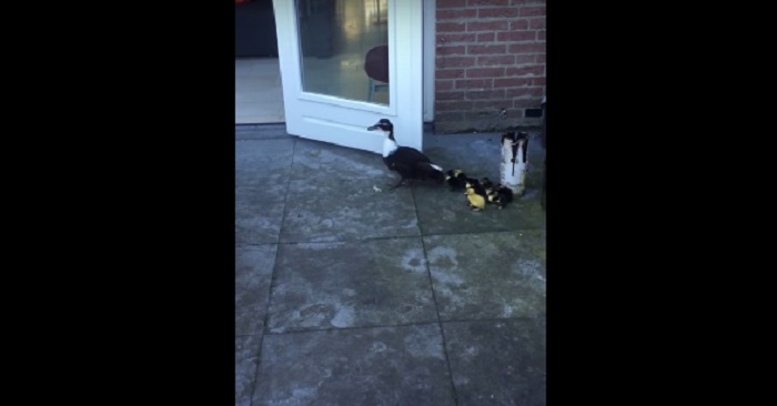 Andmamman och hennes barn står utanför huset. Men SE bara vad som händer då!